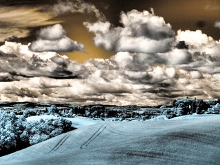 Italy. Infrared of vineyards and Wheat field in southern Tuscany