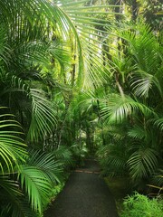 Lush tropical paradise