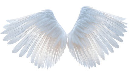 Naklejka premium white angel wing isolated for design