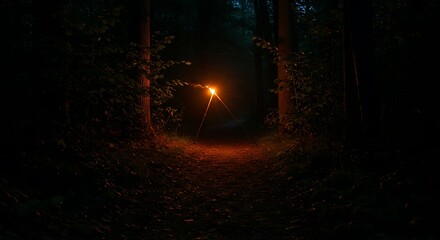 Fototapeta premium Dark mysterious forest path illuminated by a warm glowing light, concept for adventure travel, outdoor exploration and wilderness survival