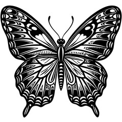 Cute Silhouette of a Butterfly line art vector cartoon illustration
