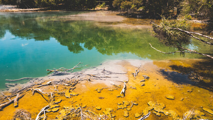 Thermal hot lake in rotorua new zealand sunny day steam bubbles contrast colours