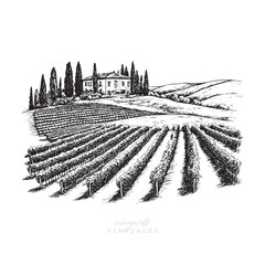 Vineyards landscapes sketched abstract digital illustration