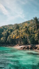 Obraz premium Tropical beach with palm trees and turquoise water in the ocean. Paradise island on a sunny day. Trip, travel and vacation concept