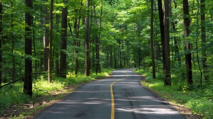 Obraz premium winding road through lush green forest, surrounded by tall trees and vibrant foliage, creates serene and peaceful atmosphere for nature lovers