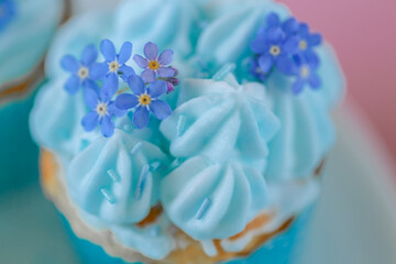 Cupcakes with blue cream and forget-me-not flowers on a pink background.Blue Frosted Cupcakes with Edible Flowers. Fresh flowers to decorate fresh baked goods