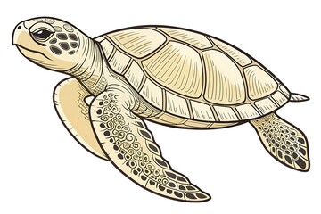 Obraz premium Detailed Illustration of a Sea Turtle Swimming Gracefully in Ocean Waters, Showcasing Unique Shell Patterns and Textures in a Vibrant Ocean Environment