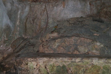 CAVERN CENOTES