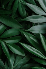 Deep Green Tropical Leaves Background for Nature and Botany Enthusiasts : Generative AI