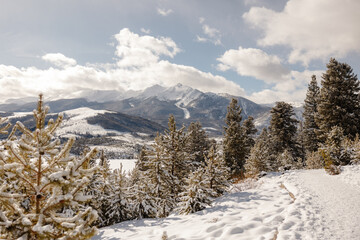 Sapphire Point trail in the winter