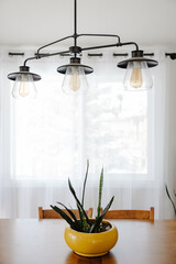 Dining table with snake plant centerpiece