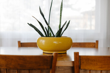 Modern kitchen table centerpiece