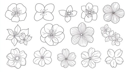 Line art floral collection, white background, design elements