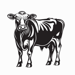 Cattle Cow Vector Image. Black and white Cow Image vector isolated on white background.