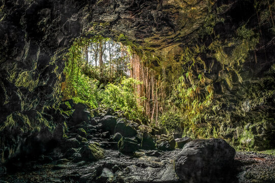 Not far from Hilo, sunlight floods into the Kaumana Caves lava tube, formed on the Big Island of Hawaii during an 1881 lava flow of the Mauna Loa volcano.