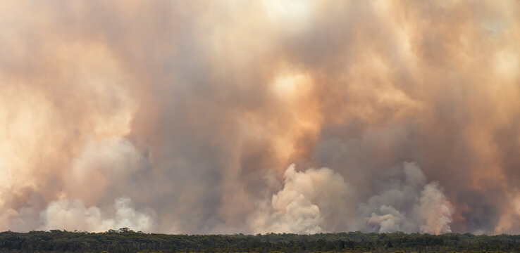 Bushfire smoke filled sky, raging fire.