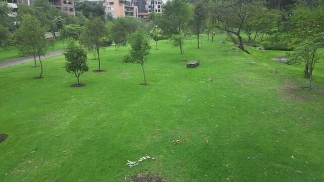 Aerial view of park near Tomebamba River in Cuenca, Ecuador, captured by drone on cloudy day. Flowing river with a linear park. Balance between nature and urban.