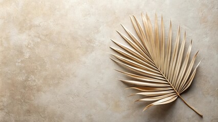 Dried Palm Leaf on Neutral Background Minimalist Nature Photography