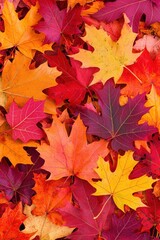 Fototapeta premium Vibrant autumn leaves in shades of red, orange, and yellow scattered on the ground.