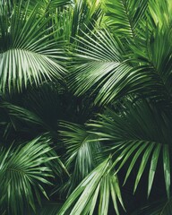 Lush green palm leaves create a vibrant, tropical backdrop filled with texture and depth.