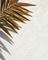 Dried palm leaves casting shadows on a textured white wall.