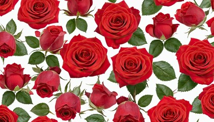 Closeup shot of a red rose bouquet against a white background S2