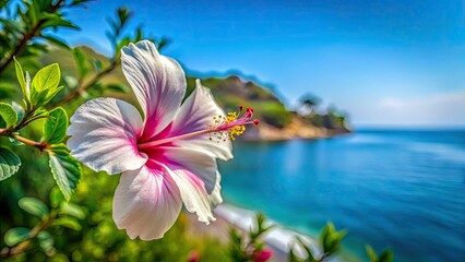 Stunning White and Pink Hibiscus Flower in Glyfada, Attica, Greece - Nature's Beauty, Tropical Flora, Floral Close-up, Summer Vibes, Outdoor Botanical Photography