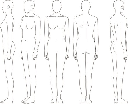 女性人体のイラスト。女性の前面、背面、斜めの略図.