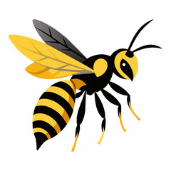 wasp from the side