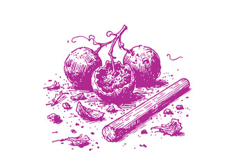 Grape Leftover Waste Hand Drawn Sketch Illustration Vector Isolated