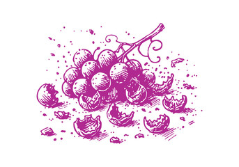 Grape Leftover Waste Hand Drawn Sketch Illustration Vector Isolated