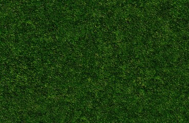 Soft Natural Football Grass Texture 6K

