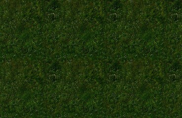 Natural Football Lawn Texture 6K - Photorealistic

