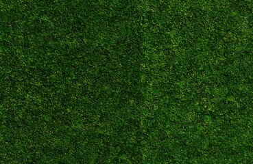 Obraz premium High Resolution Soccer Grass Surface 6K