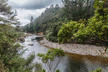 Tranquil river winding through lush New Zealand forest. Nature's beauty. Broken Hills, Hikuai, Coromandel Peninsula, New Zealand