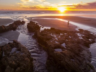 Sunset beach scene; person enjoys the golden hour with their dog. Golden light bathes the shore. Hamiltons Gap, Awhitu, Auckland, New Zealand