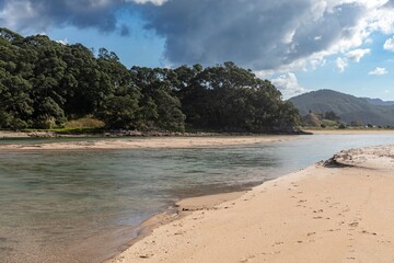 Tranquil river mouth, exposed sandbar at low tide, lush green forest backdrop. Beautiful New Zealand scenery. Opoutere, Whangamata, Coromandel Peninsula, New Zealand