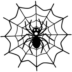 Fototapeta premium spider on web
