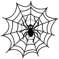 Fototapeta premium spider on web