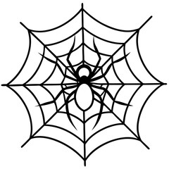 Fototapeta premium spider and web