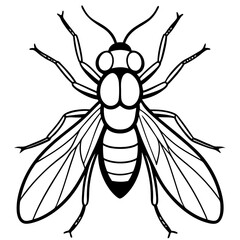 illustration of a bee