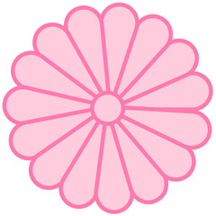 ピンクの菊の花