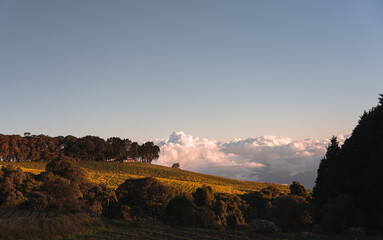 Pastel Sunset Irazu Volcano Costa Rica 1