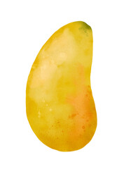 A Vibrant Watercolor Mango Illustration that showcases the beauty and colorfulness of mangoes