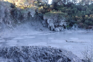 Bubbling mud pool