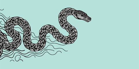 Stylized Snake Illustration
