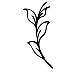 leaf icon design