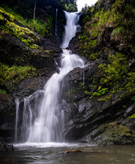 Fototapeta premium waterfall in the forest