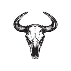 bull head isolated