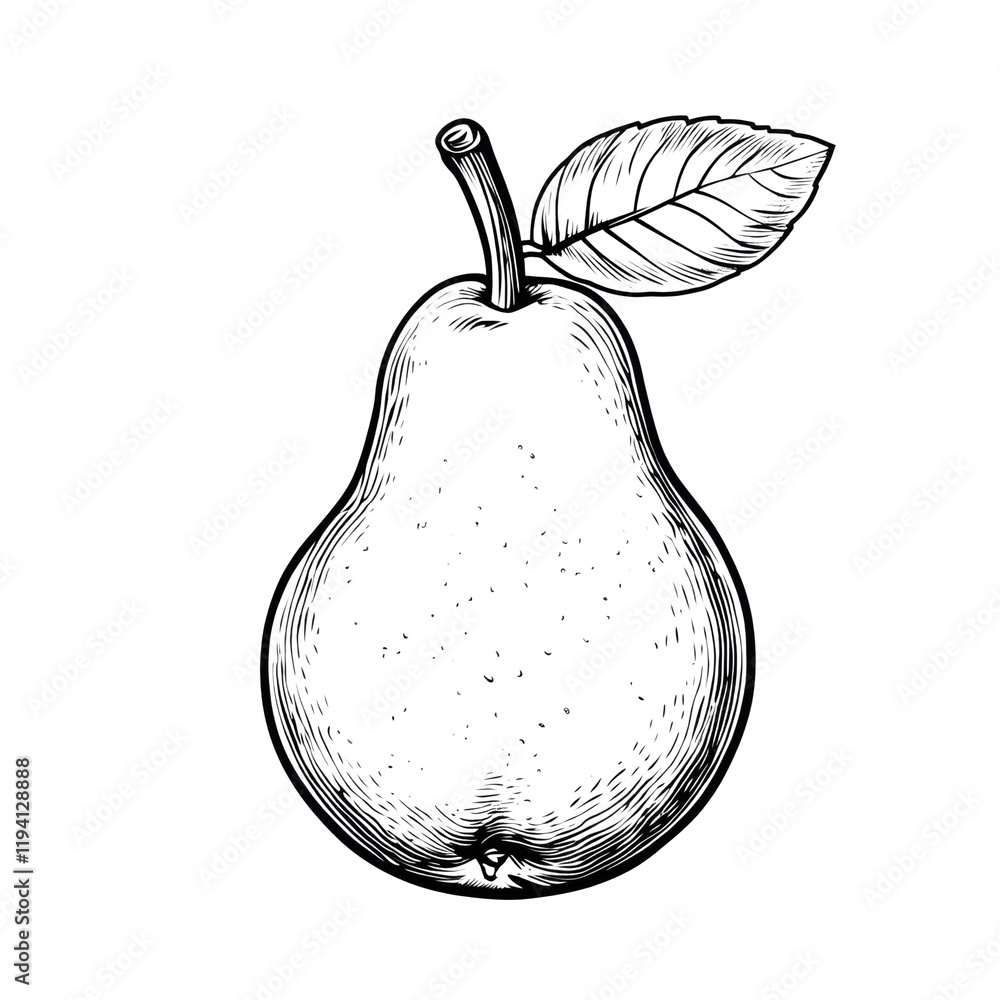 Aufkleber the image shows a detailed line drawing of a single pear with a leaf against a black background.